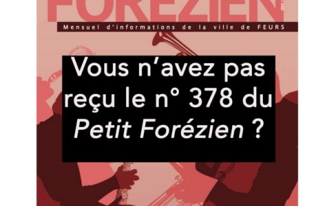 Vous n'avez pas reçu le n° 378 ?